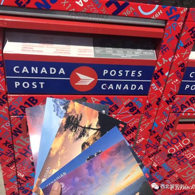 开云体育地址-加拿大队镇定应对，取得进步的简单介绍