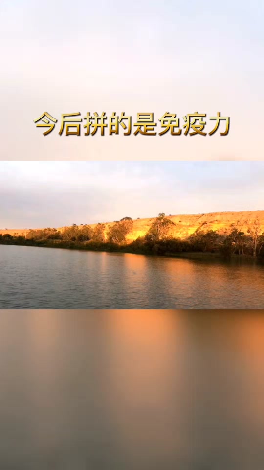 陕西主场力拼四川，决胜关头表现重要的简单介绍