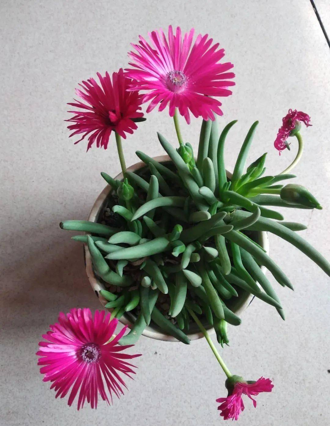 开云体育登录-包含太阳内外开花，轻取爵士缔造高光时刻的词条